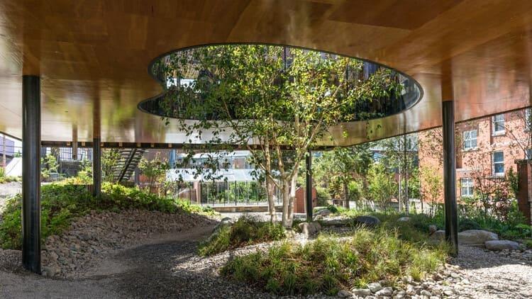 Beyond Green: Exploring the Therapeutic Benefits of a Thoughtfully Designed Garden